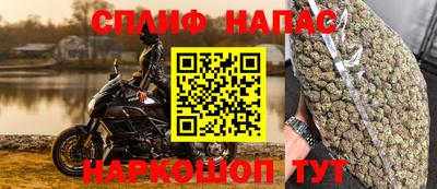 PSILOCYBIN Будённовск