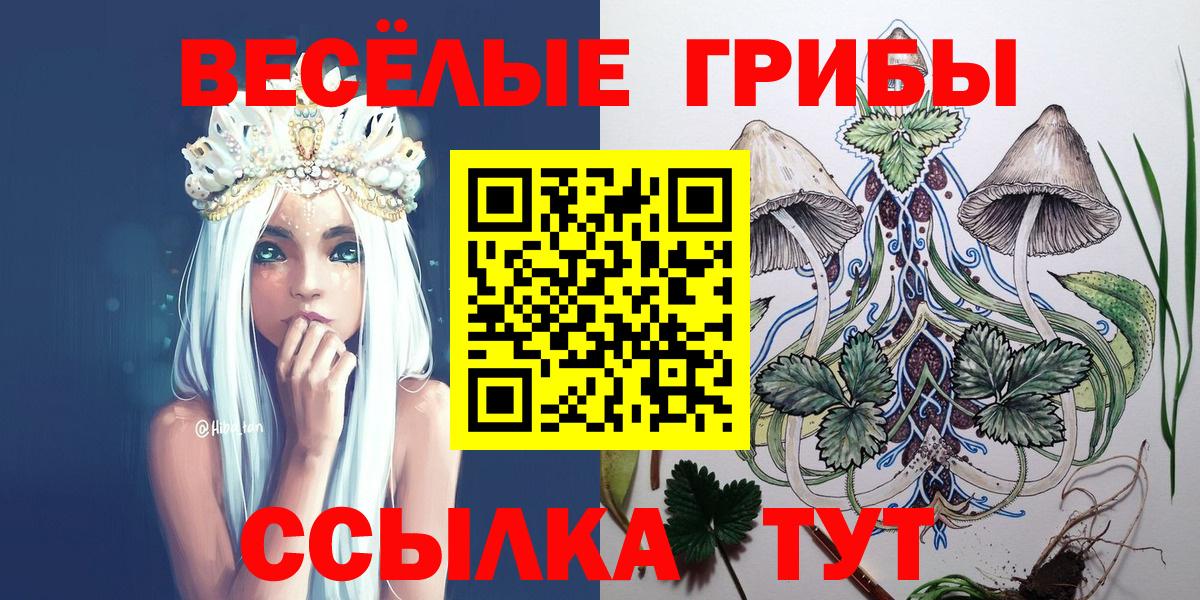 Псилоцибиновые грибы Psilocybine cubensis  Вход с VPN  Южно-Сахалинск  Псилоцибиновые грибы GOLDEN TEACHER 